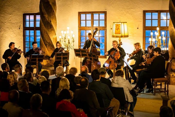 Mozart Chamber Orchestra