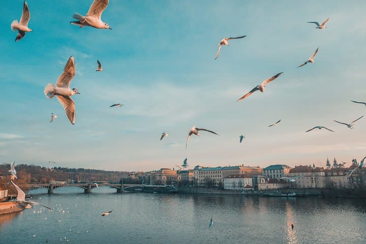 Private Scenic Transfer from Salzburg to Prague with 4h of Sightseeing