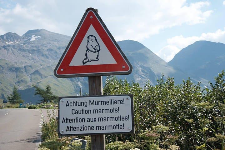 Private Grossglockner Tour