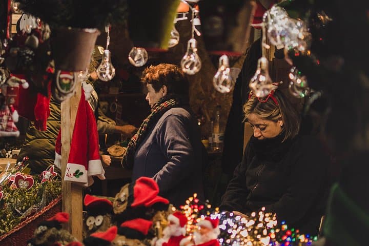 Christmas Private Daytrip - Vienna to Budapest & back, English Speaking Driver