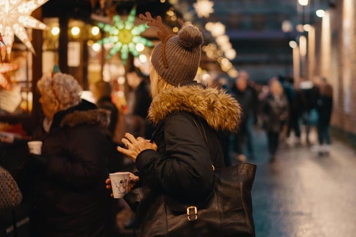 Christmas Private Daytrip - Vienna to Budapest & back, English Speaking Driver