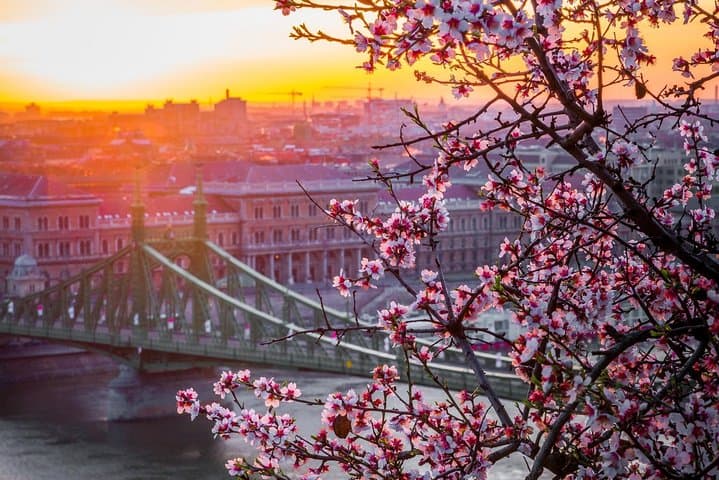 Private Transfer from Vienna to Budapest with 2 hours for sightseeing