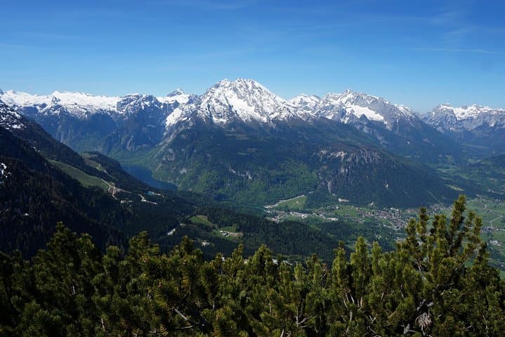 view