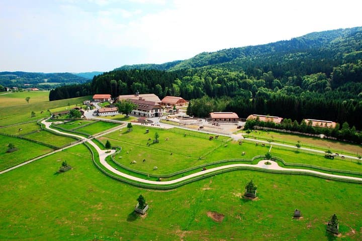 Private Tour to Aiderbichl Animal Welfare Centre from Salzburg