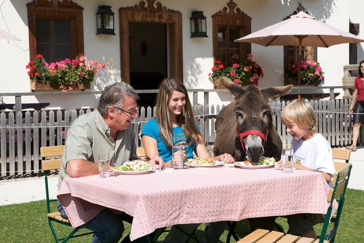 Private Tour to Aiderbichl Animal Welfare Centre from Salzburg