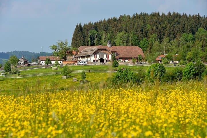 Private Tour to Aiderbichl Animal Welfare Centre from Salzburg
