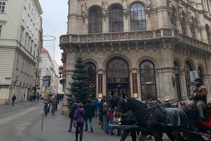 Private World War II Walking Tour in Vienna