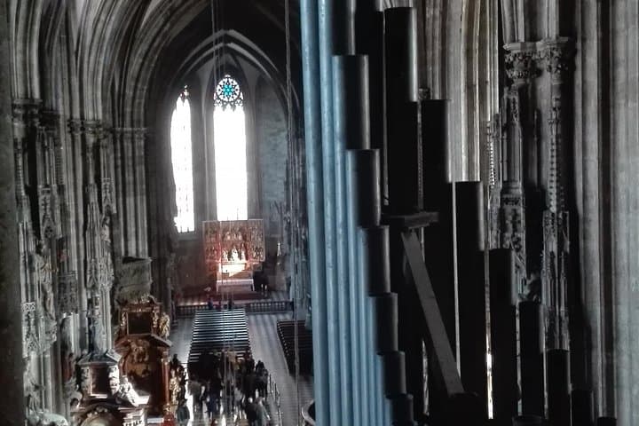 St. Stephen's cathedral - old symbol newly discovered