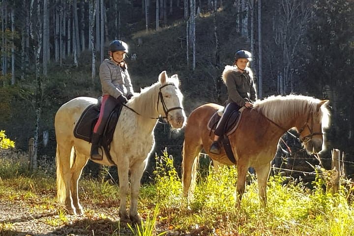 Trail riding in the Gesaeuse National Park