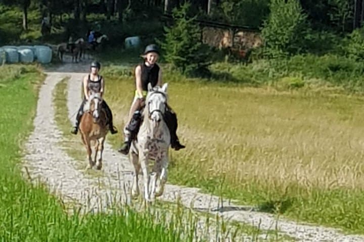 Trail riding in the Gesaeuse National Park