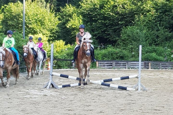 Equestrian adventure day for big and small horse lovers