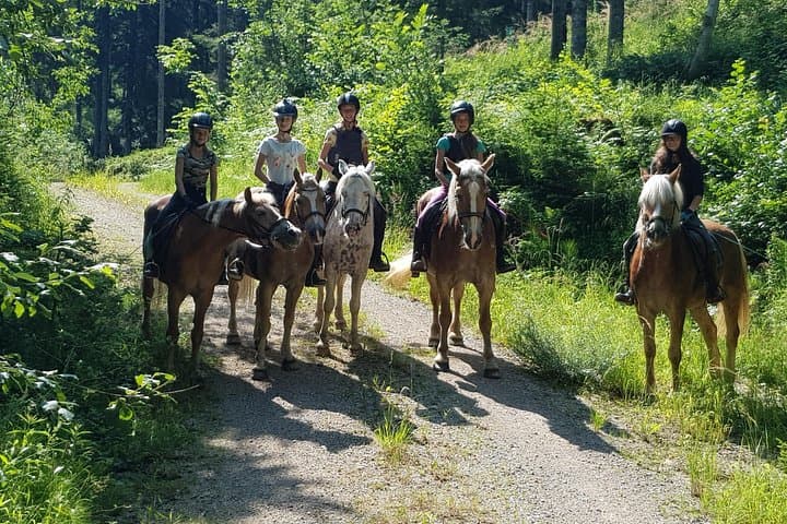 Equestrian adventure day for big and small horse lovers