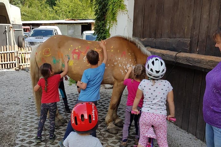 Equestrian adventure day for big and small horse lovers