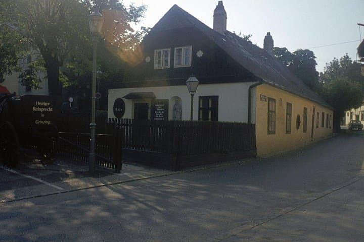 Private Day Trip to The Village of Grinzing from Vienna with a local