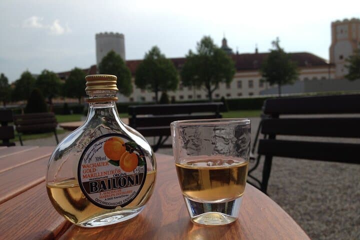 Private Day Trip to Wachau Valley & Melk Abbey from Vienna with a local