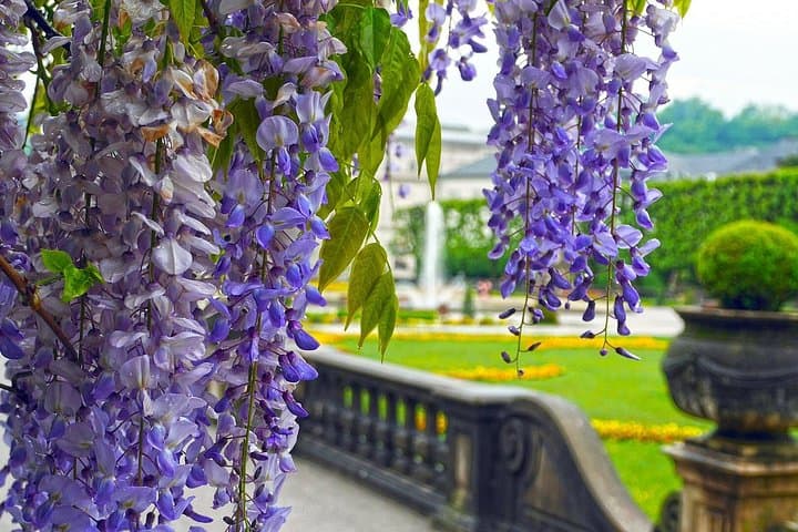 Vienna to Salzburg Private Transfer with 2 Hours for Sightseeing