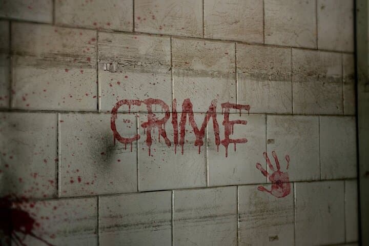 Vienna's Darkest Secrets: A True Crime Walking Tour