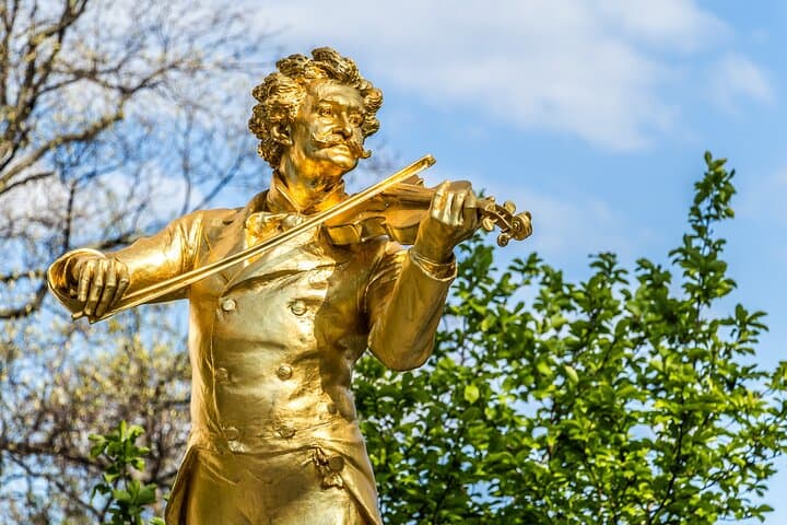 Vienna: Meet Strauss Life Private Guided Walking Tour