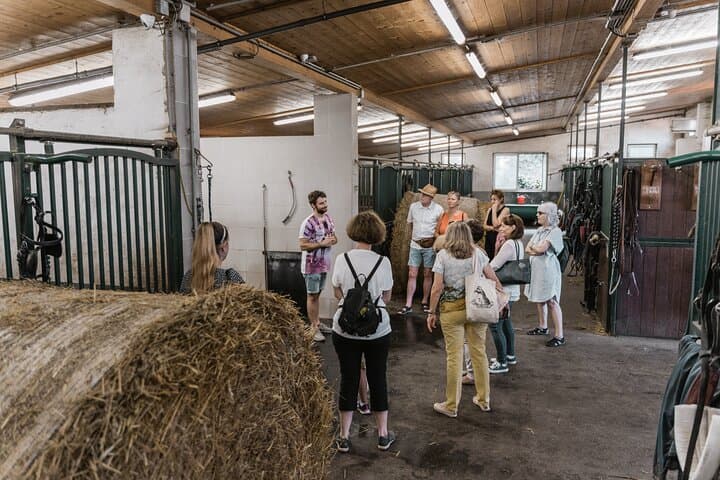 Vienna Horse-drawn Carriage Guided Tour