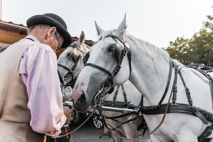 Vienna Horse-drawn Carriage Guided Tour