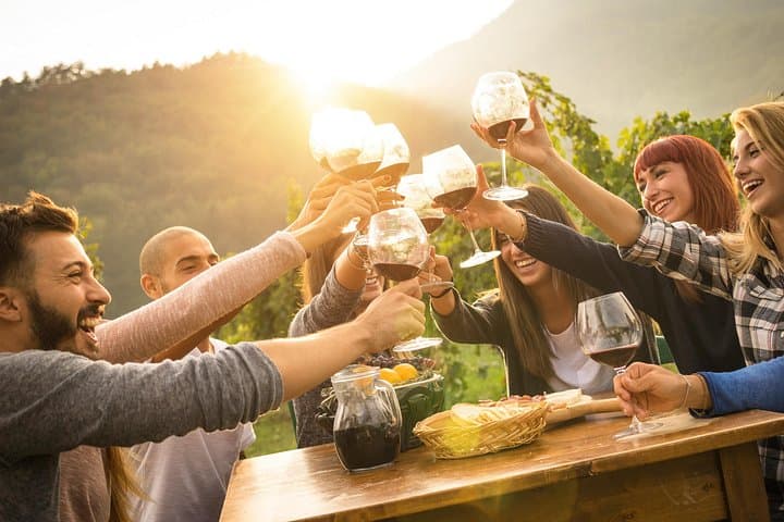 Vienna Wine Tasting Tour with Private Wine Expert
