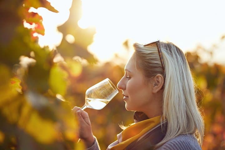 Vienna Wine Tasting Tour with Private Wine Expert