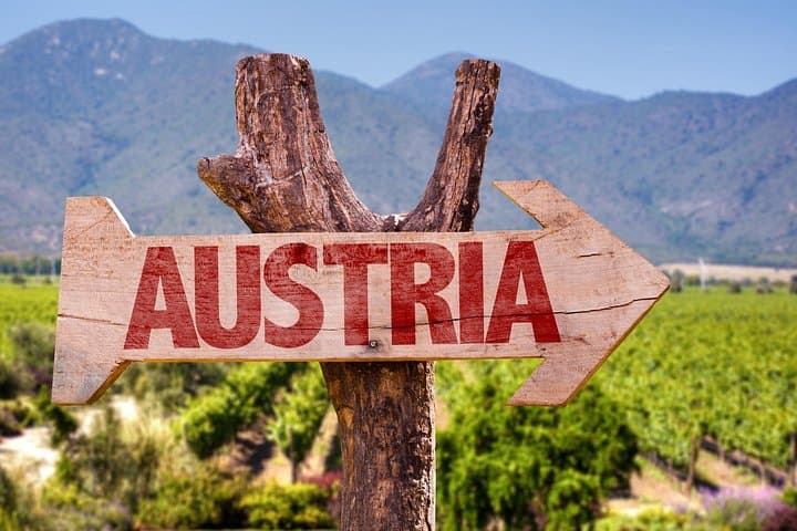 Vienna Wine Tasting Tour with Private Wine Expert