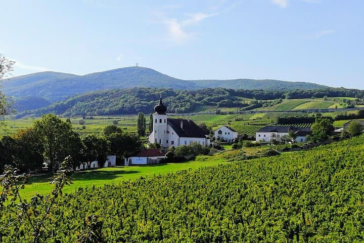 Vienna Woods Private Wine Tour: Local Vineyards & Scenic Views
