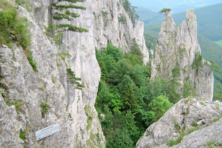 Via Ferrata experience in Vienna - Beginner level