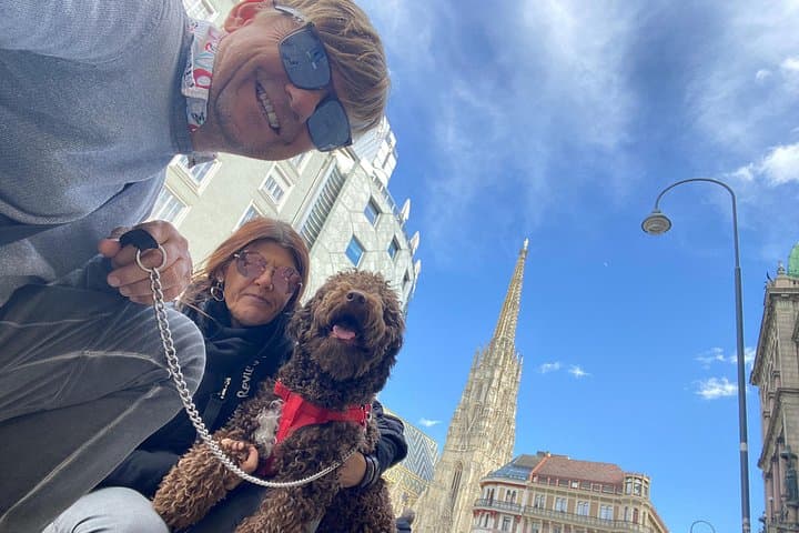 Classic Private City Tour Vienna