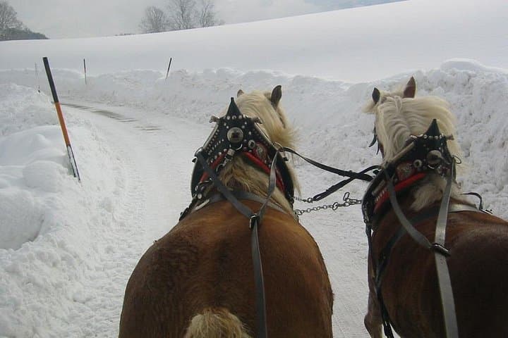 Private Horse-Drawn Sleigh Ride from Salzburg