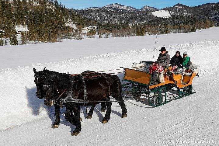 Private Horse-Drawn Sleigh Ride from Salzburg
