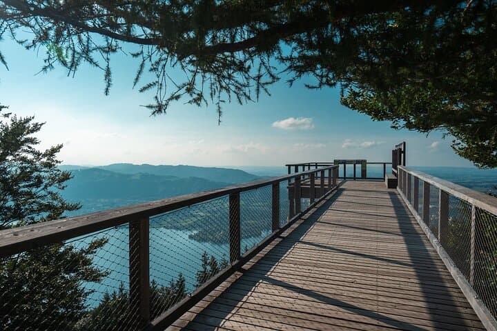 Treetop Walk