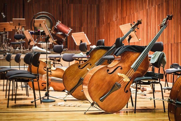 Mozart, Beethoven, Strauss in Vienna Private Tour & Concert