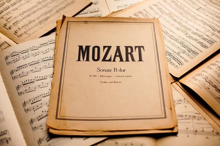 Mozart, Beethoven, Strauss in Vienna Private Tour & Concert