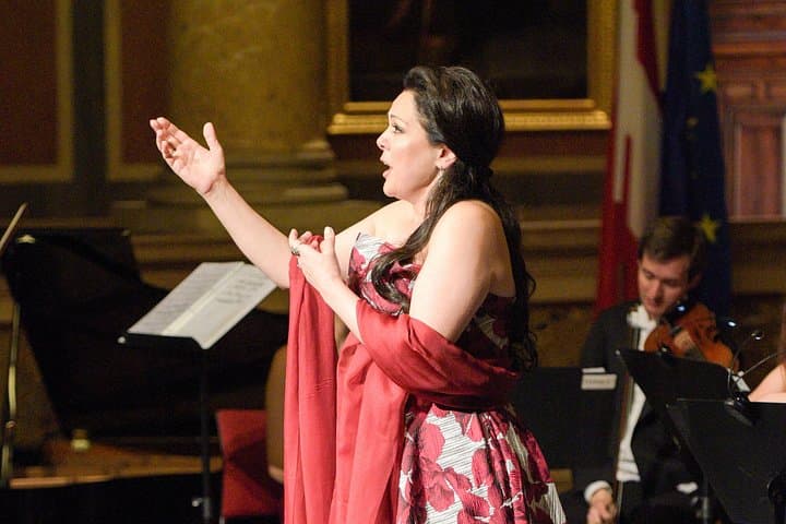 Konzerte der Wiener Royal Orchester