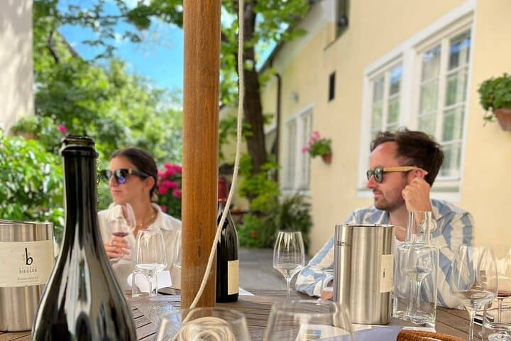 Vienna Woods Wine Tour - Wines, Vines & Good Times!