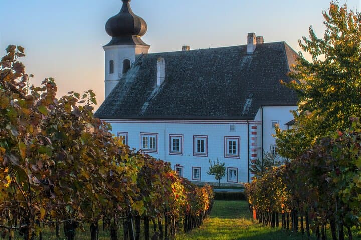 Vienna Woods Wine Tour - Wines, Vines & Good Times!