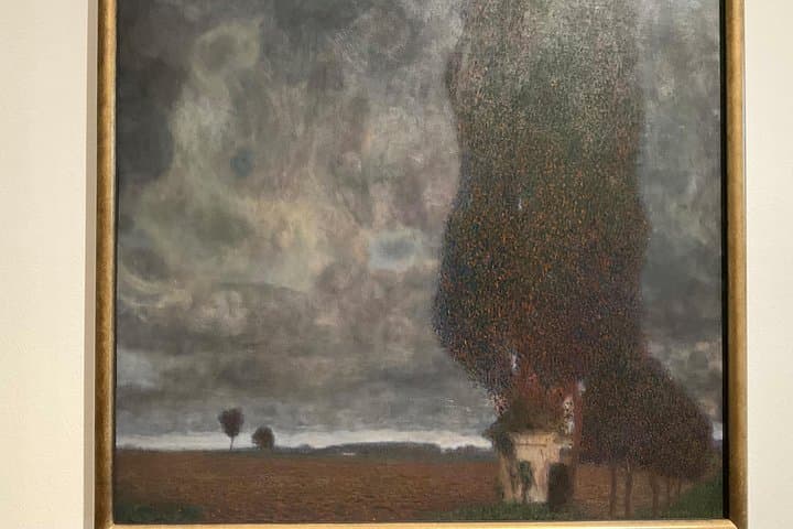 Private Tour of Viennese Art in the Leopold Museum: Klimt, Schiele, Kokoschka