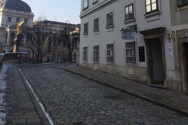 Private Tour of Beethoven's Vienna – Retracing Original Venues with an Expert