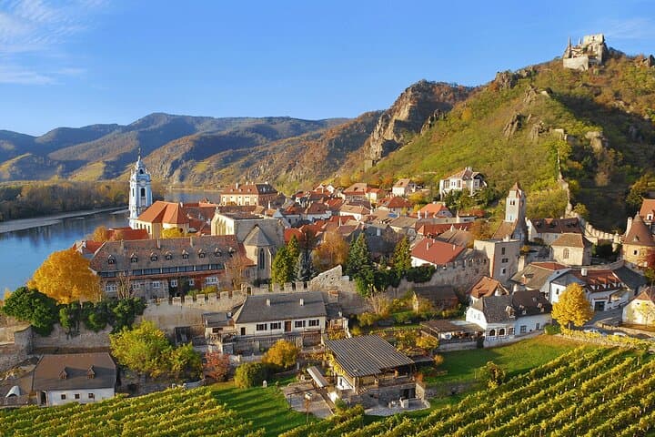 Private Wine Day: 2000 Years of Austrian Wine in Wachau & Kapmtal