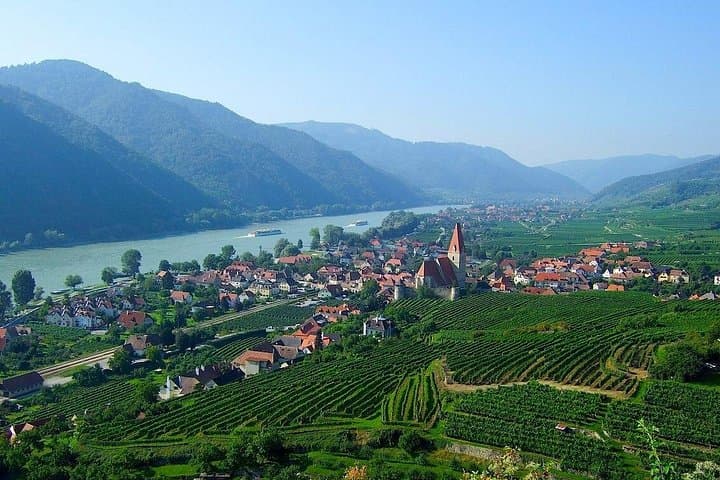 Private Wine Day: 2000 Years of Austrian Wine in Wachau & Kapmtal