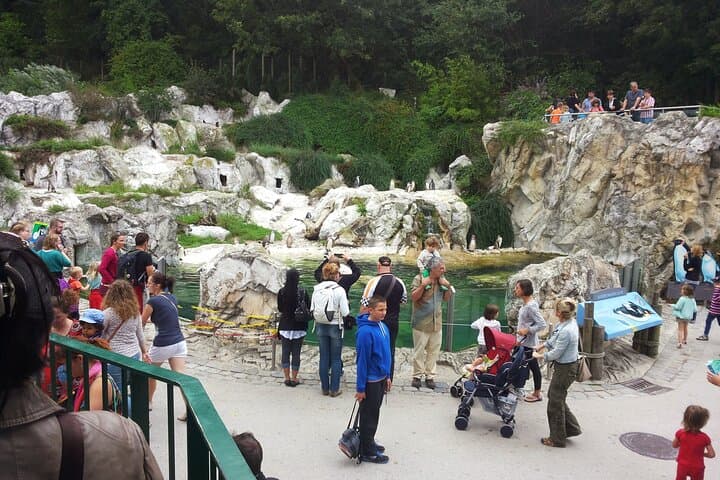 Highlight, not only for Children, the Vienna Zoo