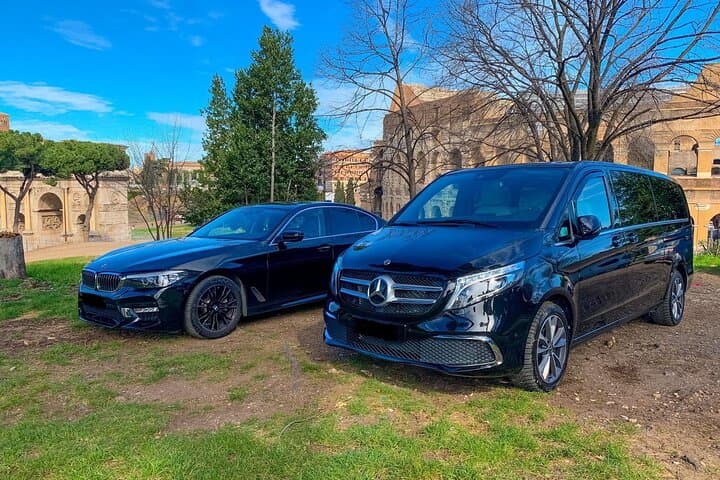 Vienna Airport (VIE) to Downtown - Round-Trip Private Transfer