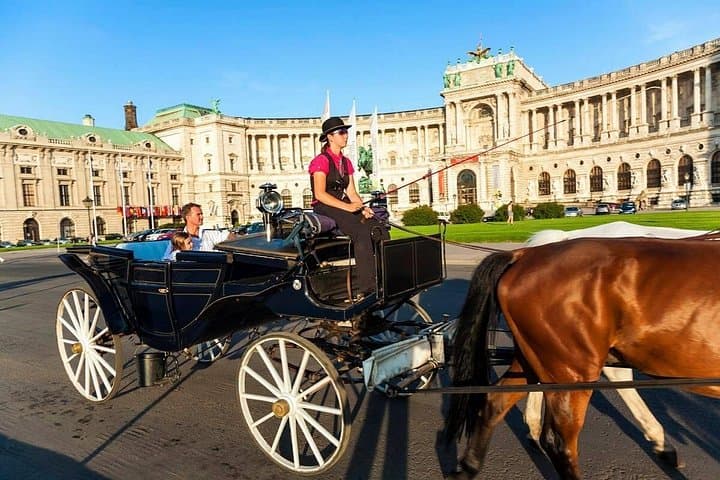 Vienna Private City Walking Tour and Belvedere Palace Audio Guide
