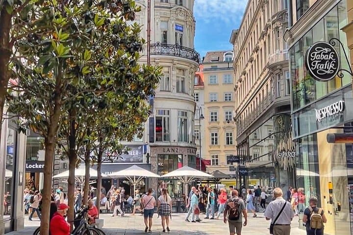 Privately Guided City Center Walking Tour of Vienna