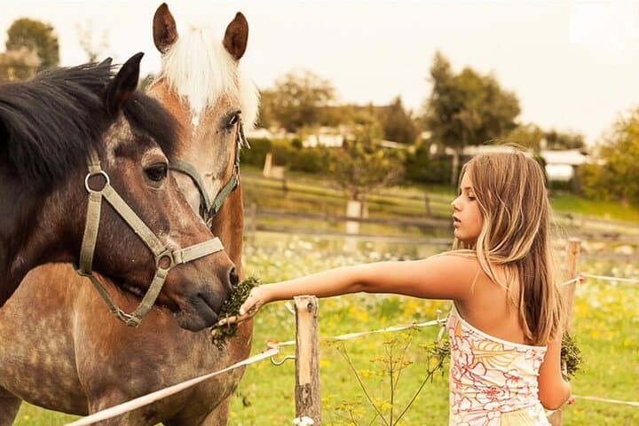 Tailored Fun and Private Photo Shoot in Vienna