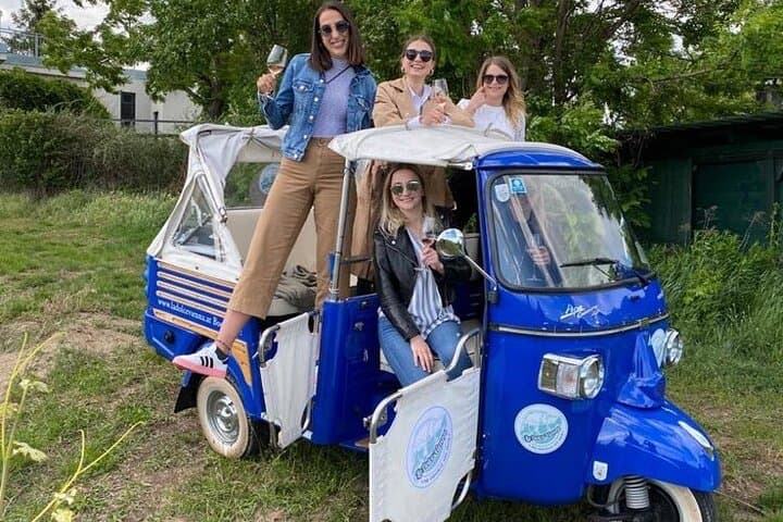 Ape Tour "Vino" to famous "Heurigen" Quarter - the local spirit!