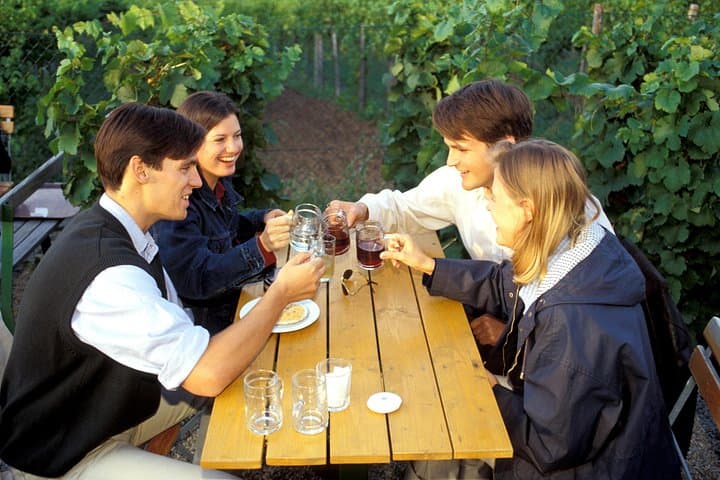A charming Heuriger (wine tavern) in the wine hills surrounding Vienna.