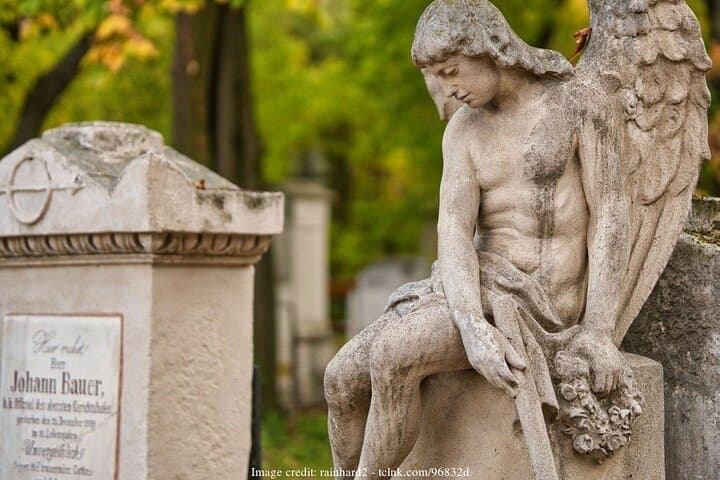 Explore Vienna's Central Cemetery: Private 2.5-hour Guided Tour